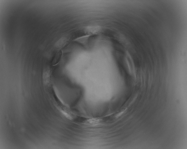 X0000054360526200508121517