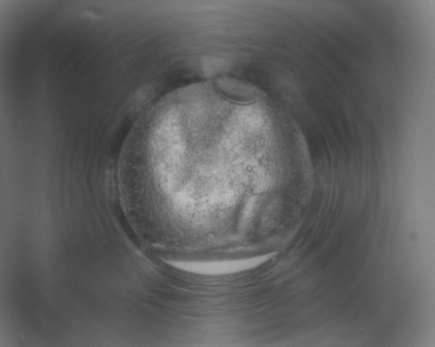 X0000054360527200508121517