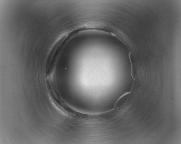 X0000054360530200508121516