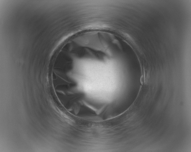 X0000054360531200508121516