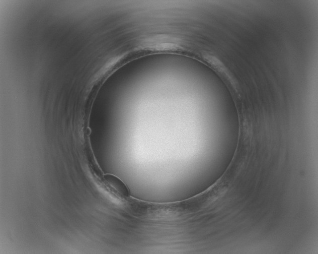 X0000054360533200508121516