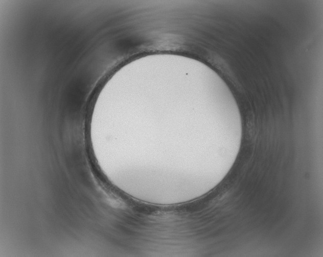 X0000054360534200508121516