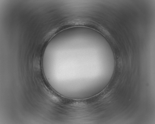 X0000054360537200508121516