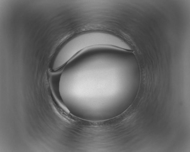 X0000054360538200508121516