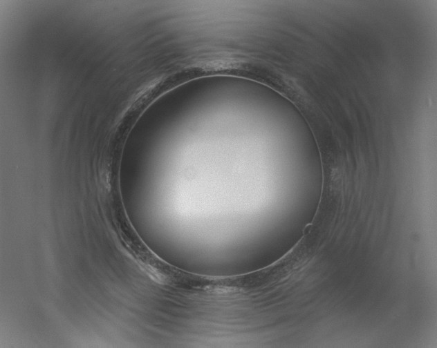 X0000054360539200508121516