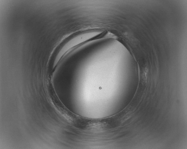 X0000054360540200508121516