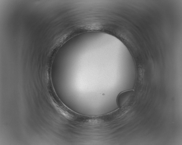 X0000054360541200508121516