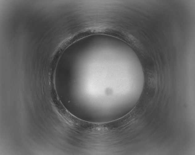 X0000054360543200508121517