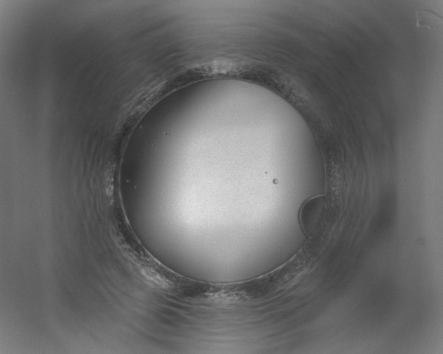 X0000054360545200508121517