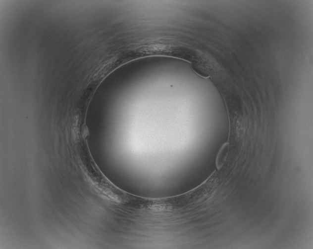 X0000054360546200508121517