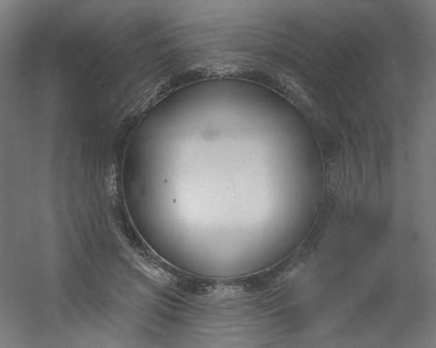 X0000054360549200508121517