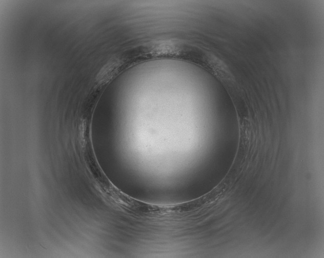 X0000054360550200508121517