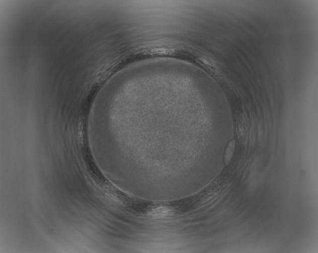 X0000054360551200508121517