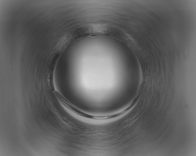 X0000054360552200508121517