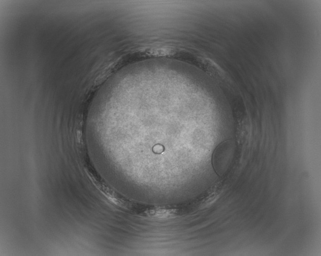 X0000054360553200508121517