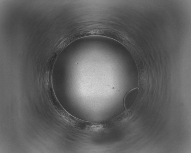 X0000054360554200508121517