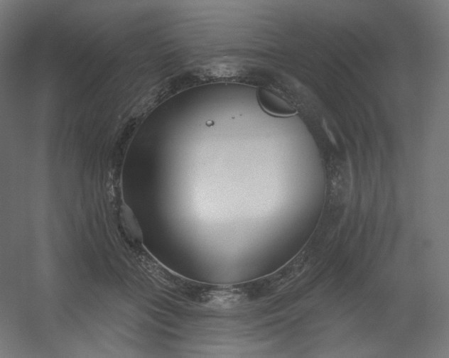 X0000054360555200508121517