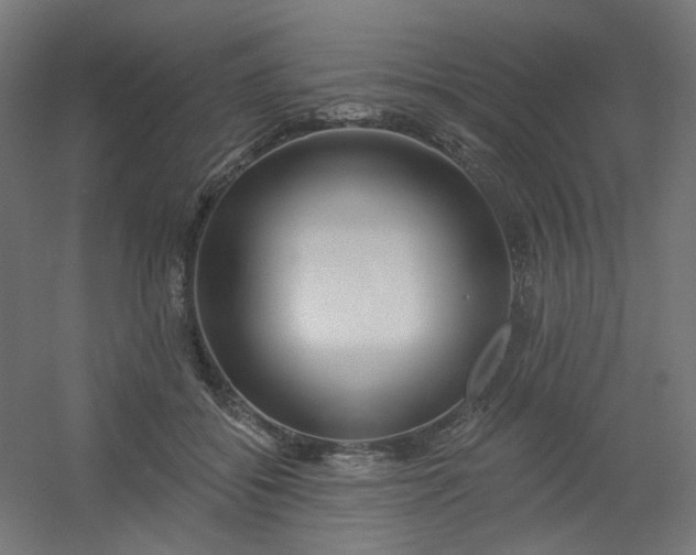 X0000054360556200508121517