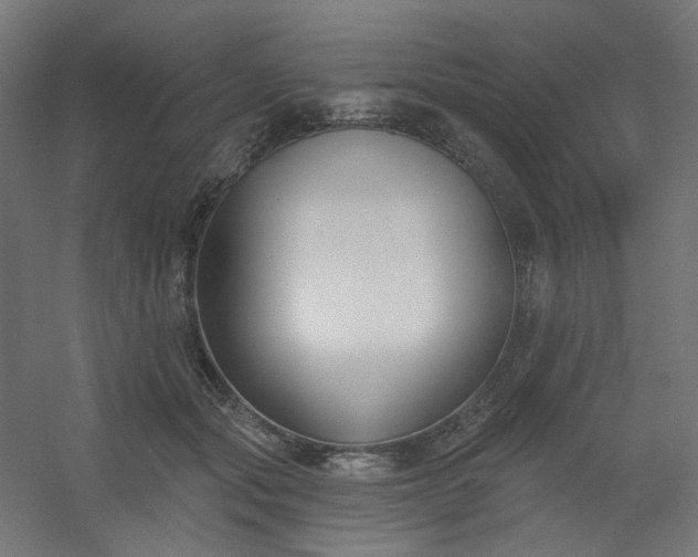 X0000054360557200508121517