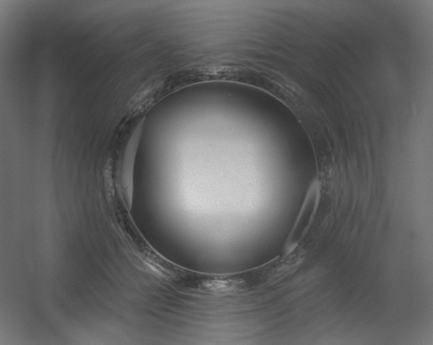 X0000054360558200508121517