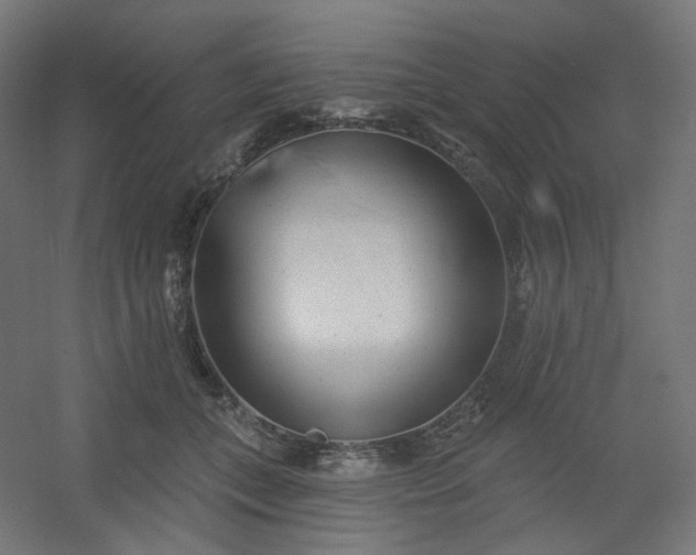 X0000054360559200508121517