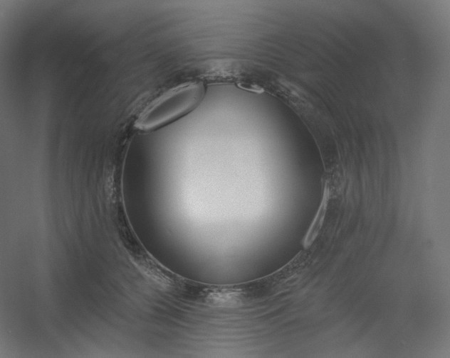 X0000054360560200508121517