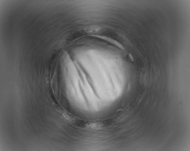 X0000054360561200508121517