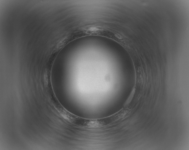 X0000054360562200508121517