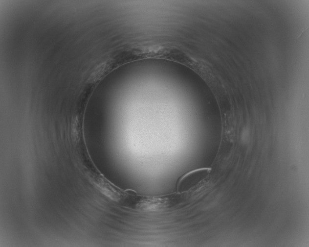X0000054360563200508121517