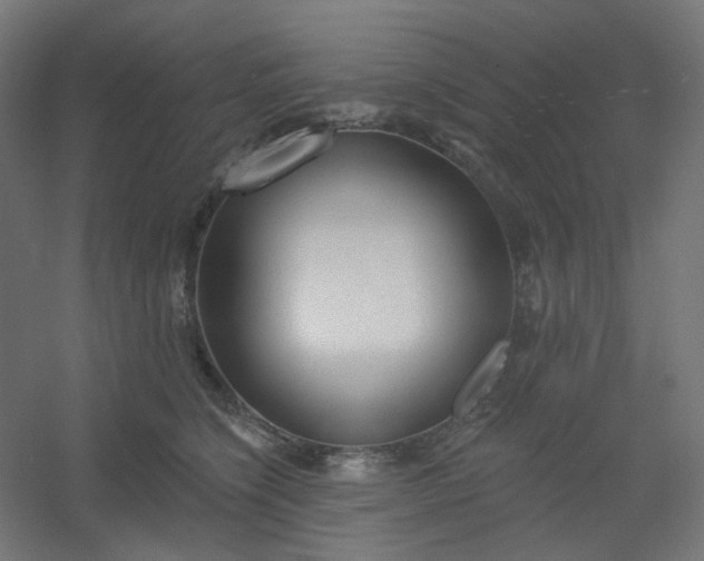 X0000054360564200508121517