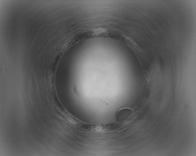 X0000054360565200508121517