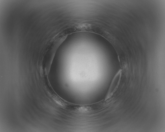 X0000054360566200508121517