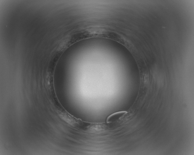 X0000054360567200508121517