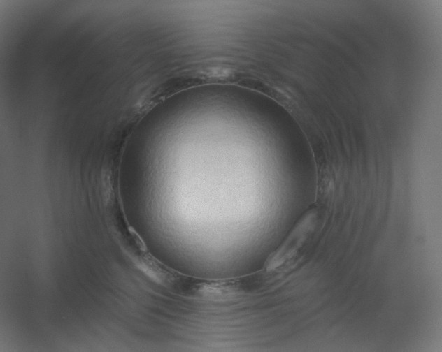 X0000054360568200508121517