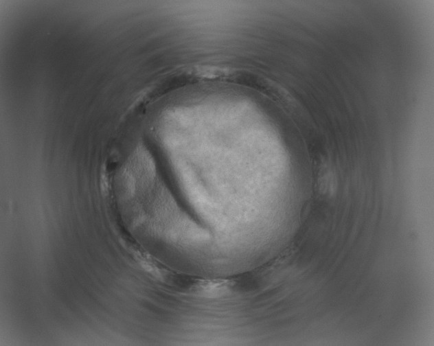 X0000054360569200508121517