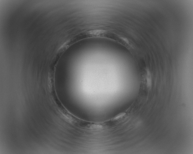 X0000054360572200508121517
