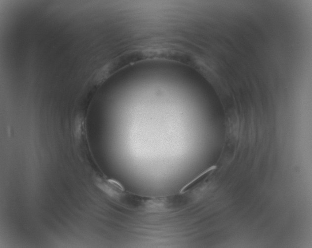 X0000054360574200508121517