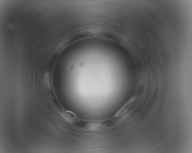 X0000054360575200508121517