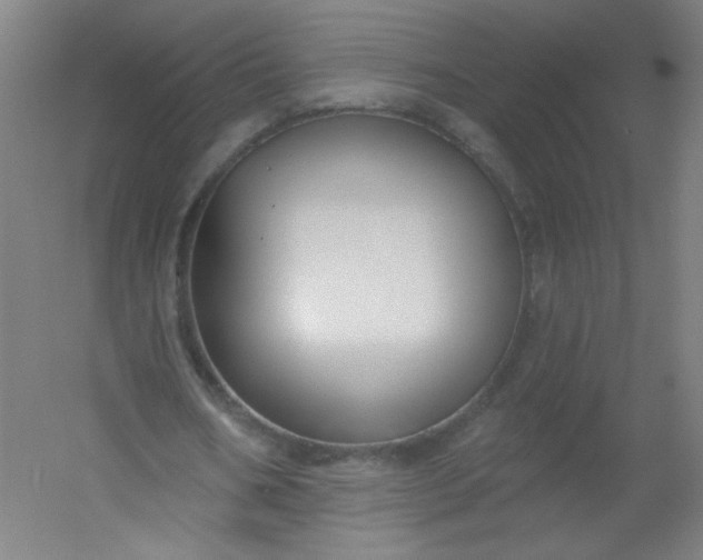 X0000054360578200508121516