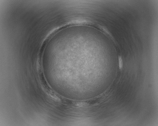 X0000054360579200508121516