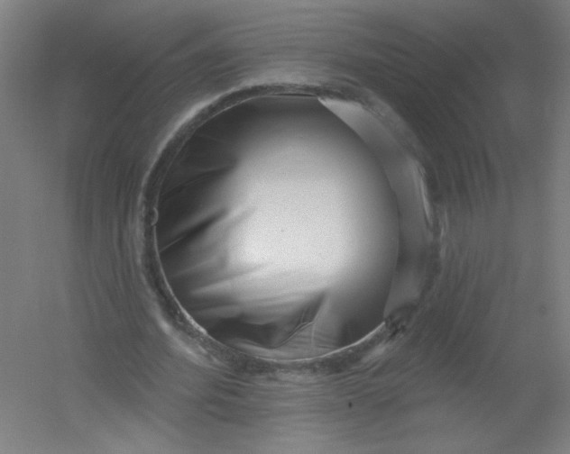 X0000054360580200508121516