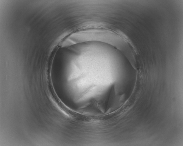 X0000054360581200508121516