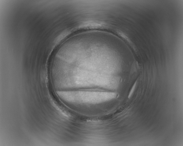X0000054360582200508121516