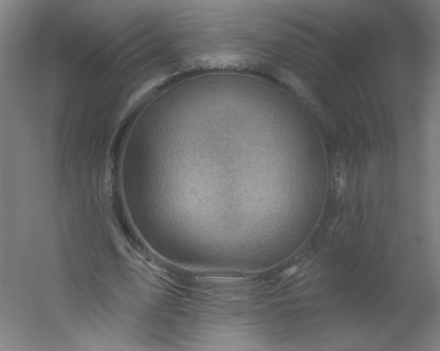 X0000054360583200508121516