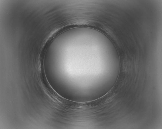 X0000054360584200508121516