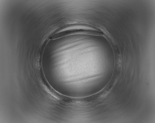 X0000054360585200508121516