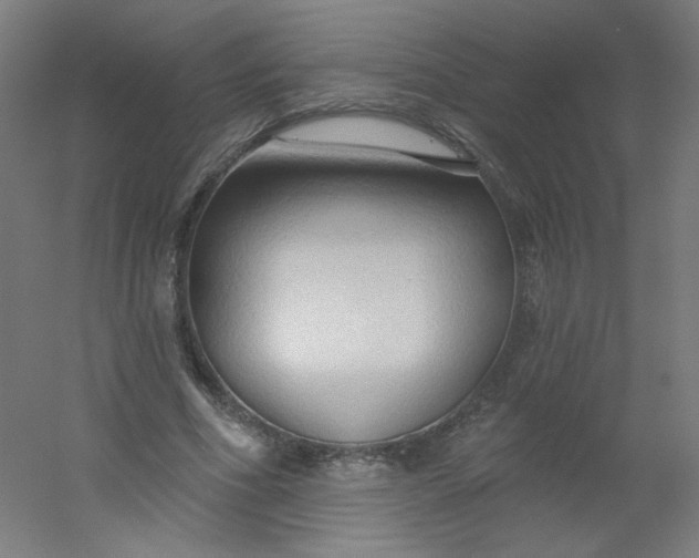 X0000054360586200508121516