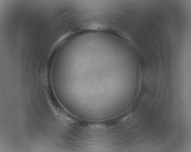X0000054360587200508121516