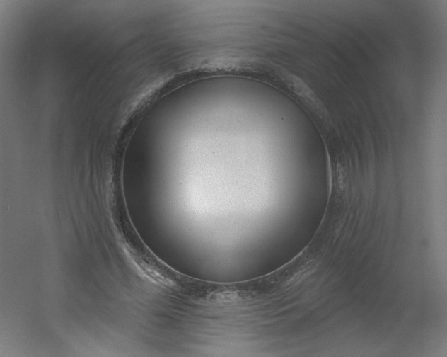 X0000054360588200508121516