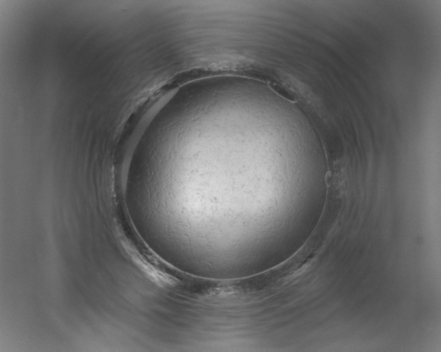 X0000054360589200508121516